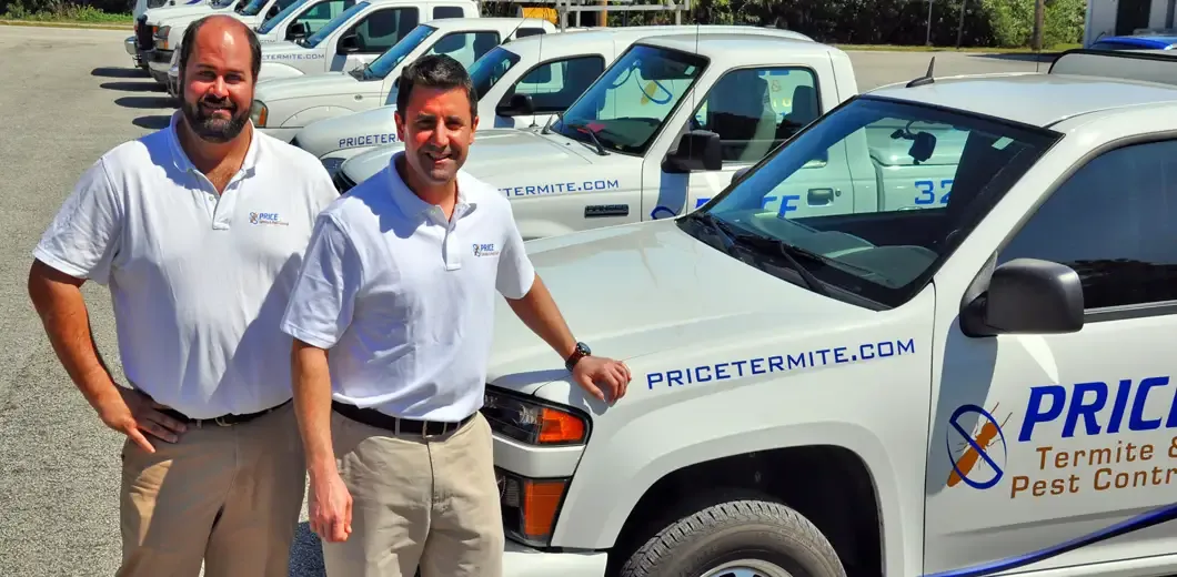 Price Termite leadership