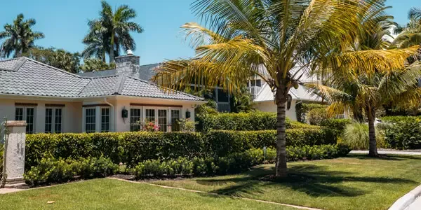 Florida home with palm trees