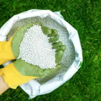 lawn fertilizer
