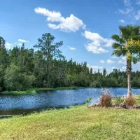 Grassy area & pond in Florida