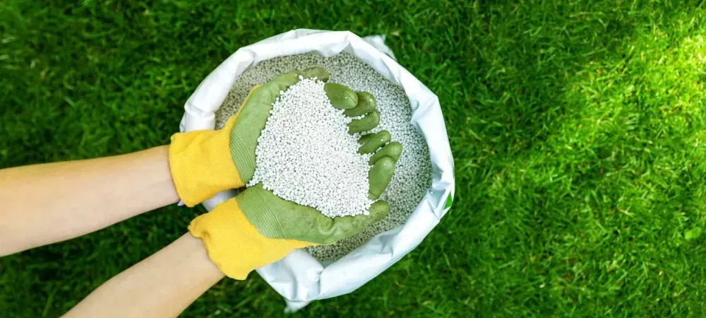 lawn fertilizer